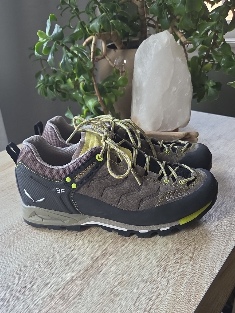 Salewa MS Mountain Trainer Hiking Climbing Shoes